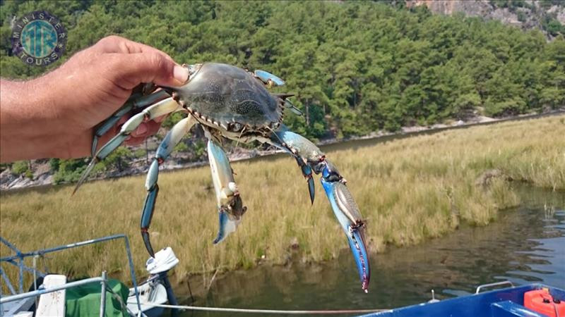 Turunç'dan Köyceğiz Gölü ve Dalyan Turu9